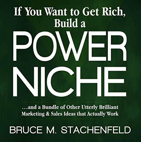 Power Niche bookk cover image